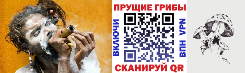 Псилоцибиновые грибы ЛСД  наркота  Чадан 